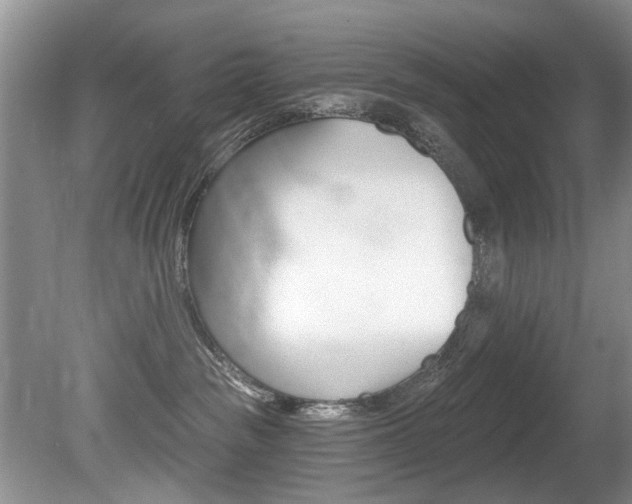 X0000080790189200612151107