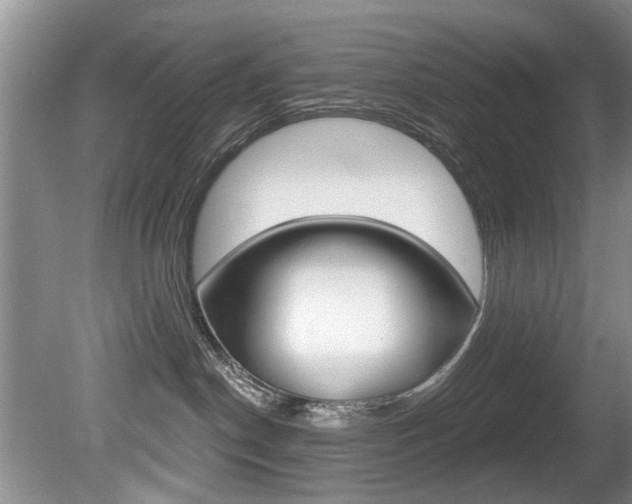 X0000080790190200612151107
