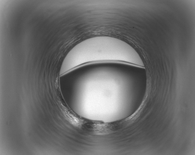 X0000080790192200612151107