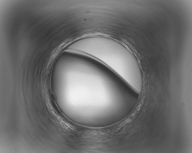 X0000080790193200612151107