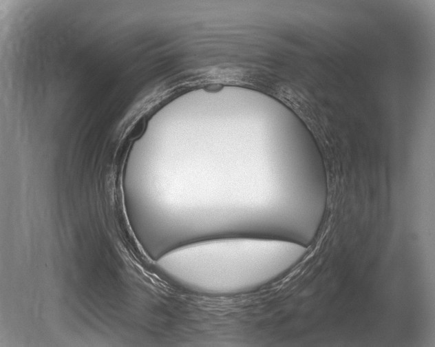 X0000080790194200612151107