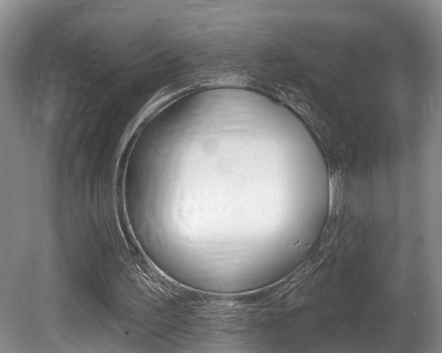 X0000080790195200612151107