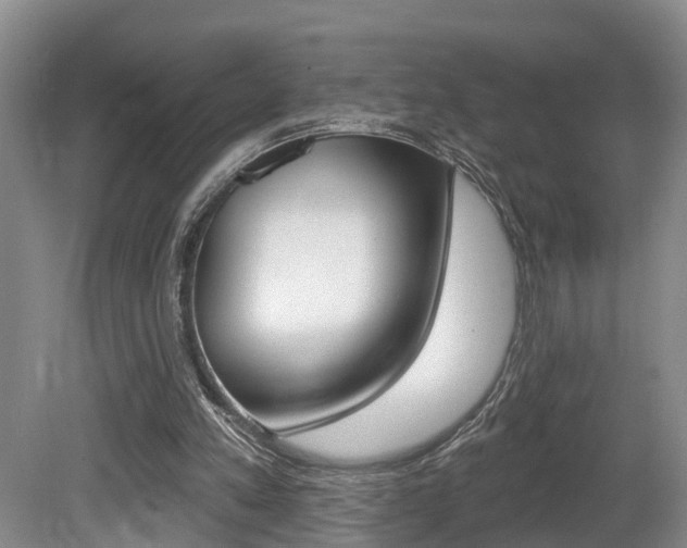 X0000080790197200612151107