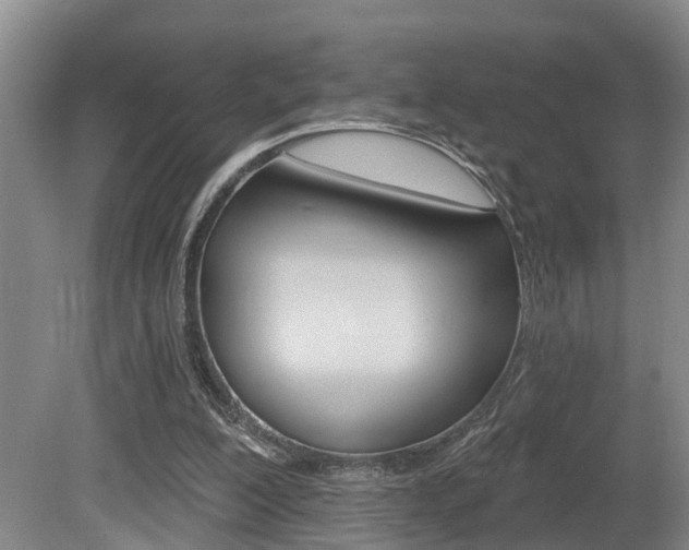 X0000080790200200612151106