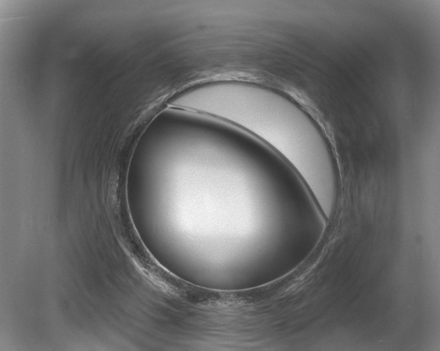 X0000080790201200612151106