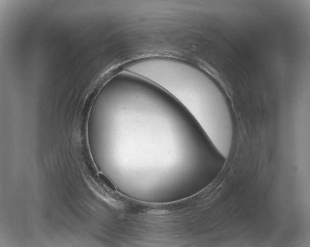 X0000080790203200612151106