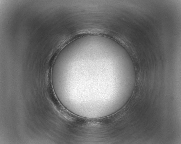 X0000080790206200612151106