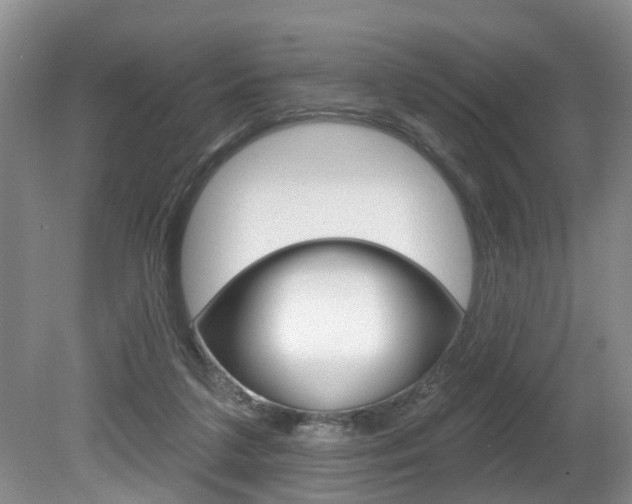 X0000080790211200612151106