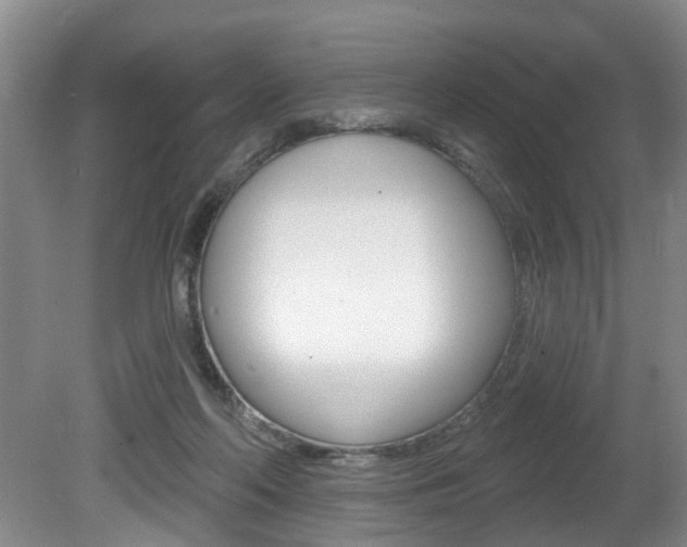 X0000080790214200612151106