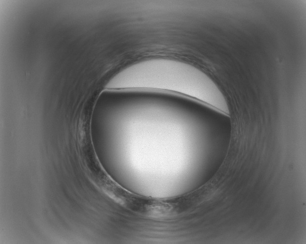 X0000080790215200612151106