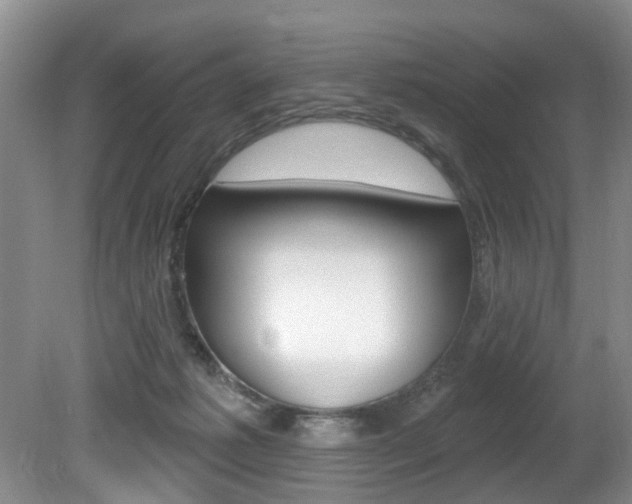 X0000080790221200612151106