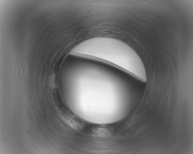 X0000080790224200612151106