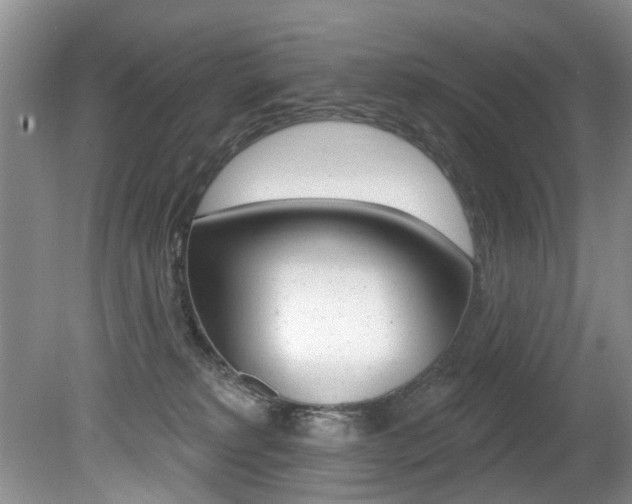 X0000080790229200612151106