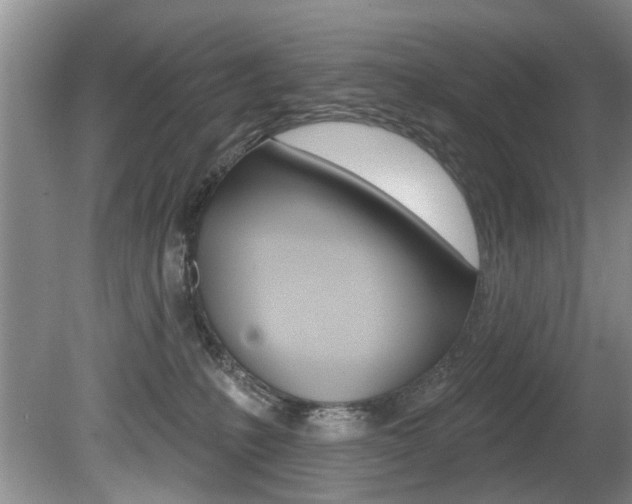 X0000080790231200612151106