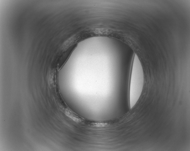 X0000080790233200612151106
