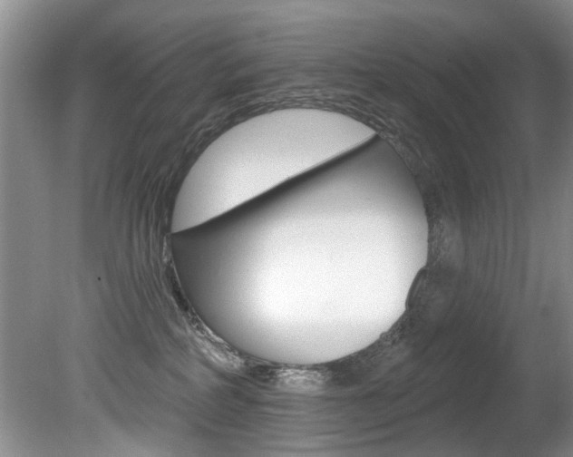X0000080790234200612151106