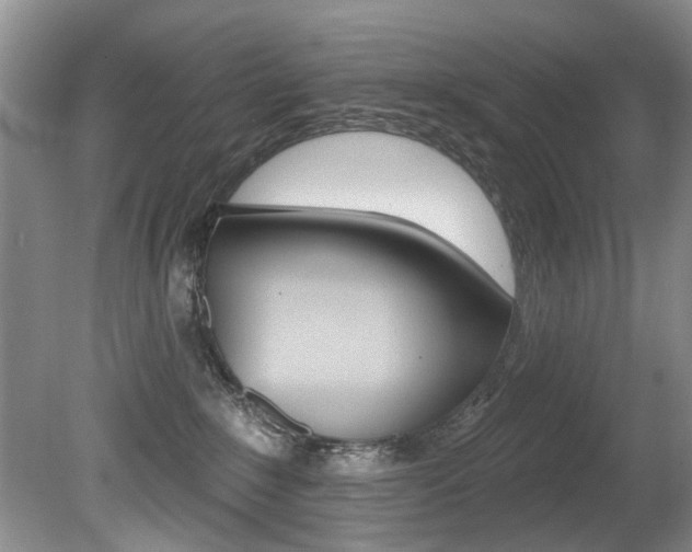 X0000080790235200612151106