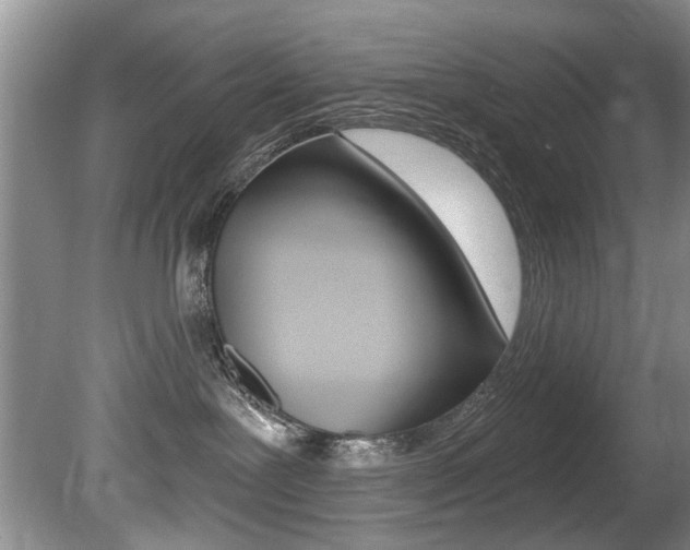 X0000080790239200612151106