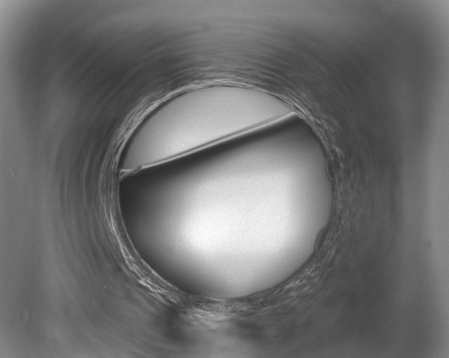X0000080790241200612151105