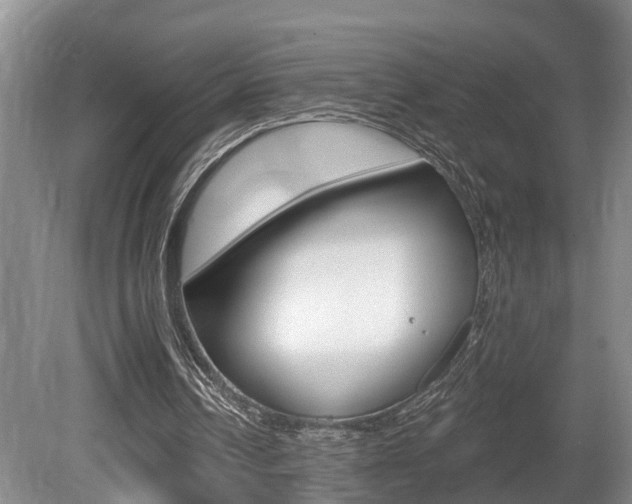 X0000080790242200612151105