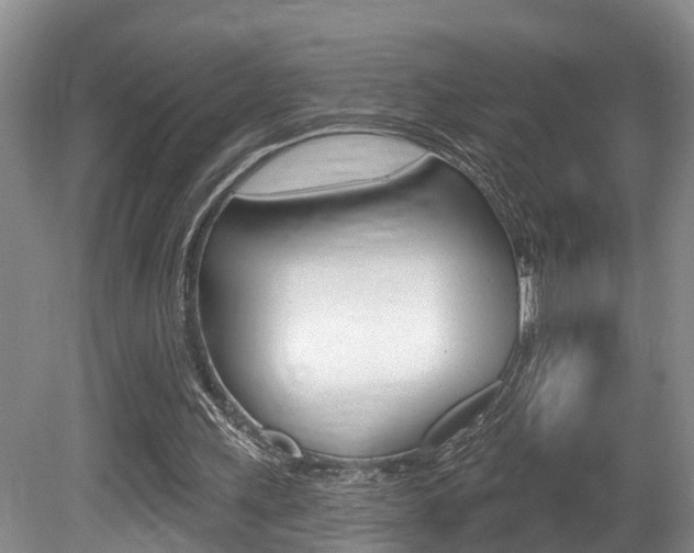X0000080790243200612151105