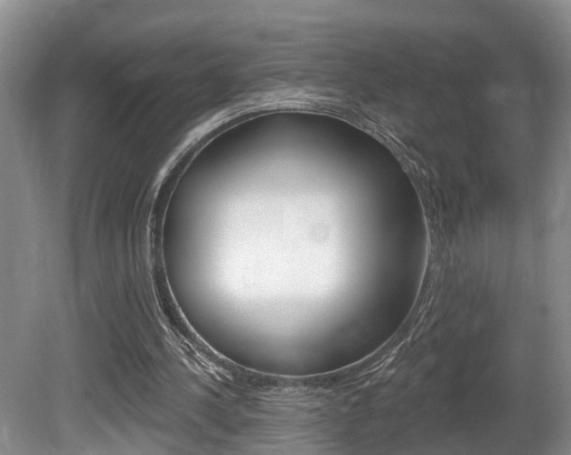 X0000080790244200612151105