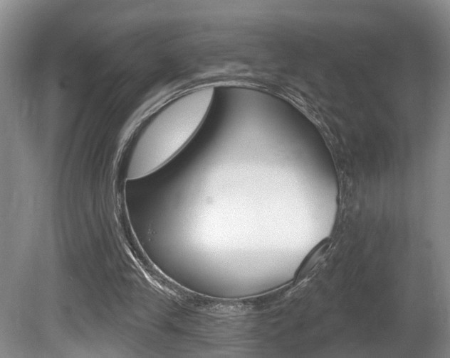 X0000080790245200612151105