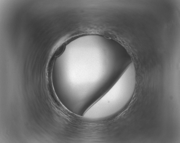 X0000080790246200612151105