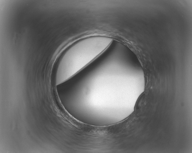 X0000080790247200612151105