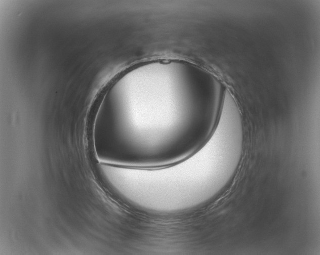 X0000080790248200612151105