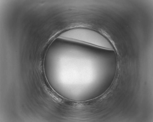 X0000080790249200612151105