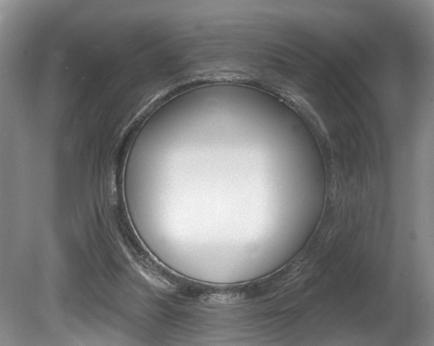 X0000080790251200612151105