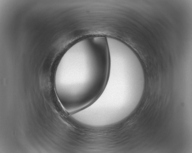 X0000080790252200612151105