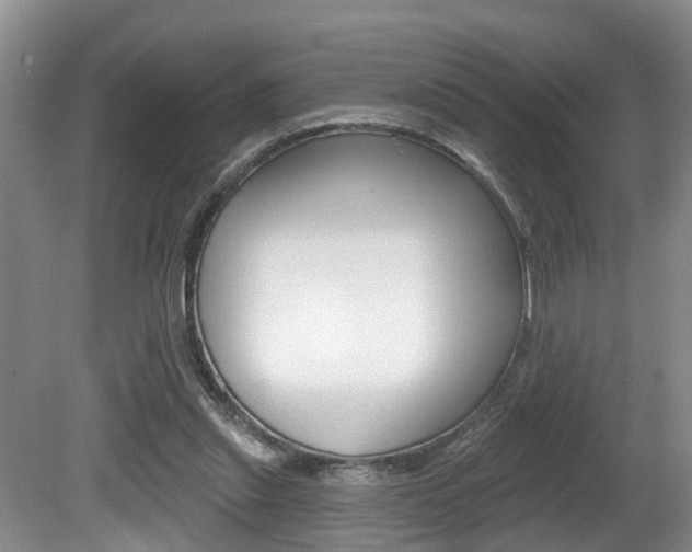 X0000080790253200612151105