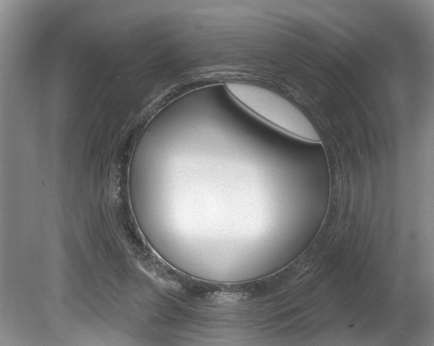 X0000080790255200612151105