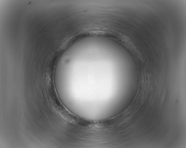 X0000080790259200612151105