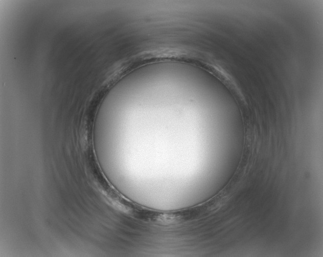 X0000080790261200612151105