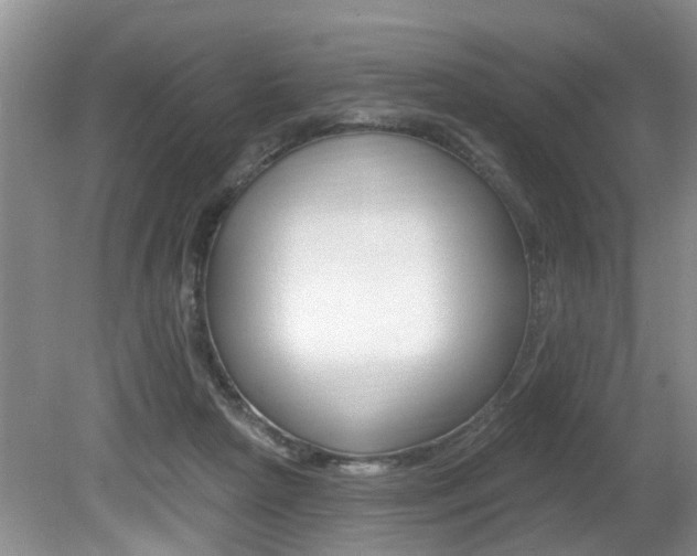 X0000080790265200612151105