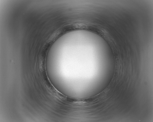 X0000080790266200612151105