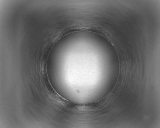 X0000080790268200612151105