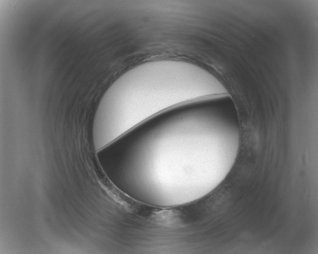 X0000080790269200612151105