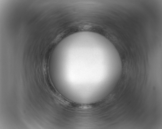 X0000080790274200612151106