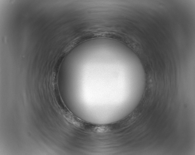 X0000080790275200612151106