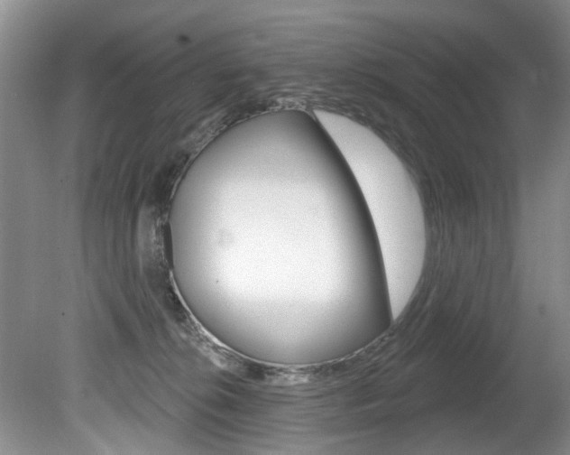 X0000080790276200612151106
