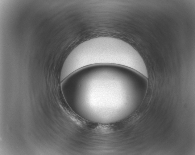 X0000080790280200612151106