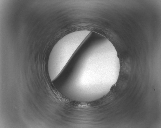 X0000080790283200612151106