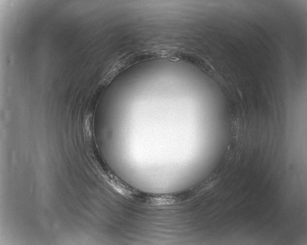 X0000080790286200612151106