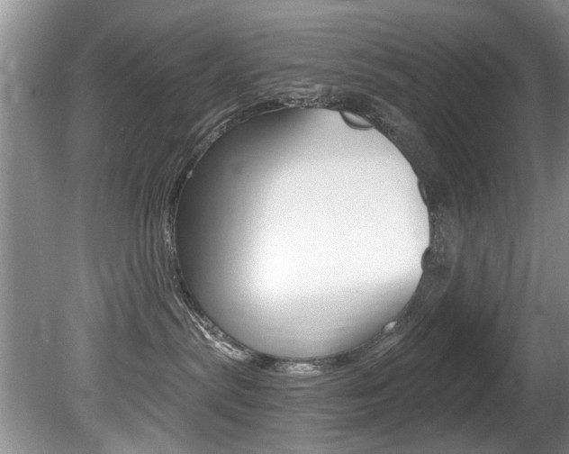 X0000080790287200612151106