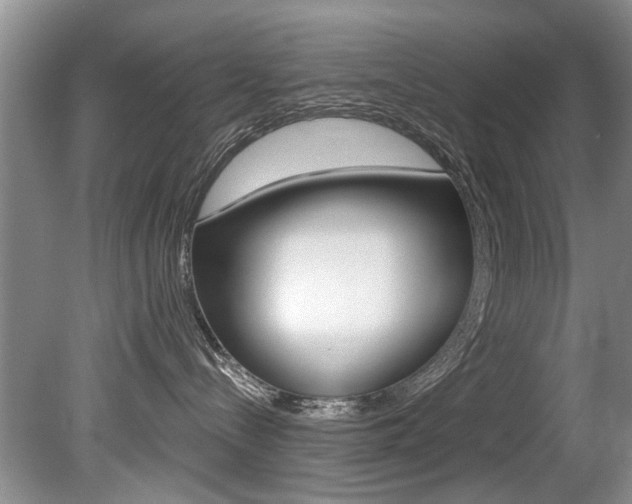 X0000080790288200612151106