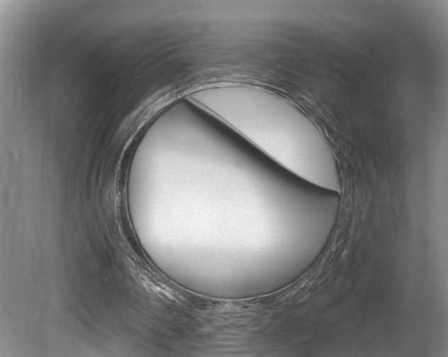 X0000080790290200612151105
